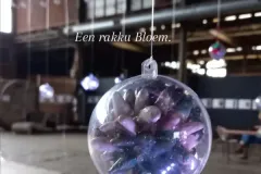 IMG_20251101_190528_344