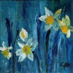 GBK narcissen